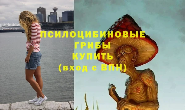 spice Липки