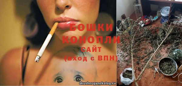 spice Липки