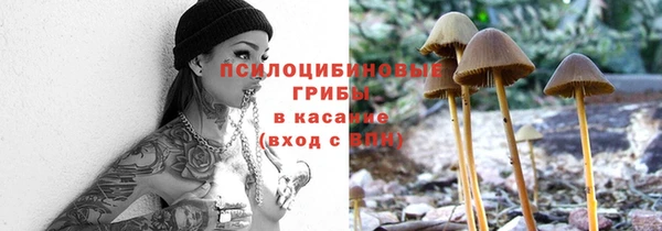 бошки Лихославль