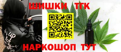 индика Моздок
