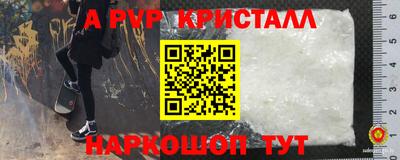 индика Моздок