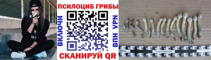 Галлюциногенные грибы мухоморы  Череповец 