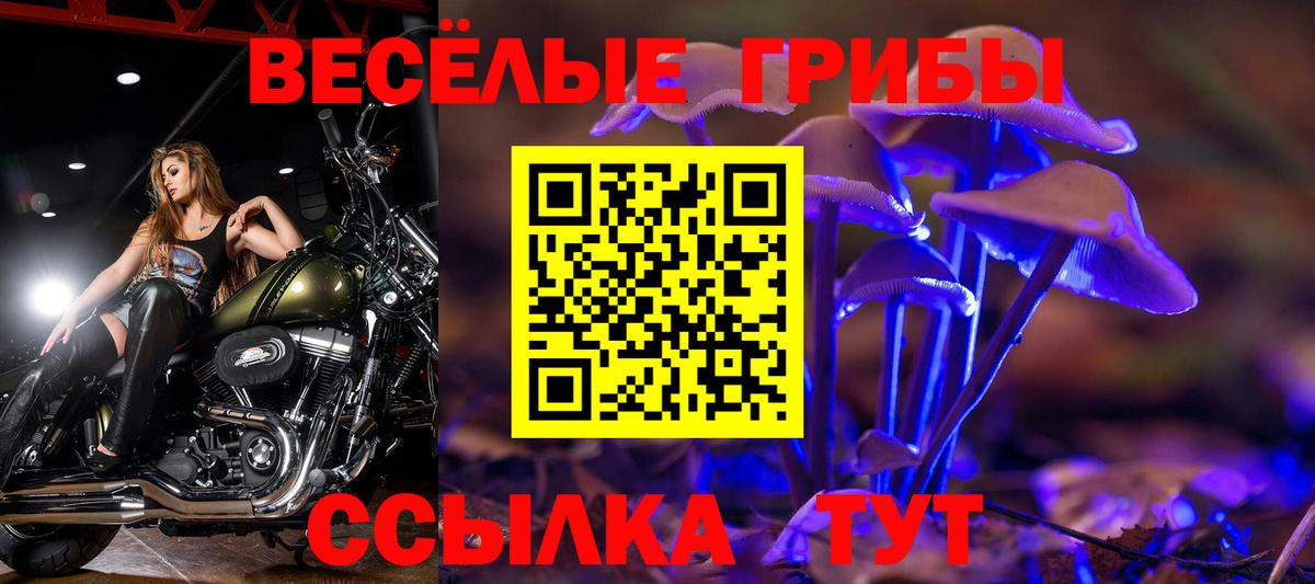 Галлюциногенные грибы Magic Shrooms  Вход с VPN  Череповец 