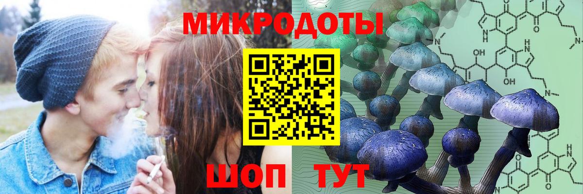 Галлюциногенные грибы прущие грибы Череповец